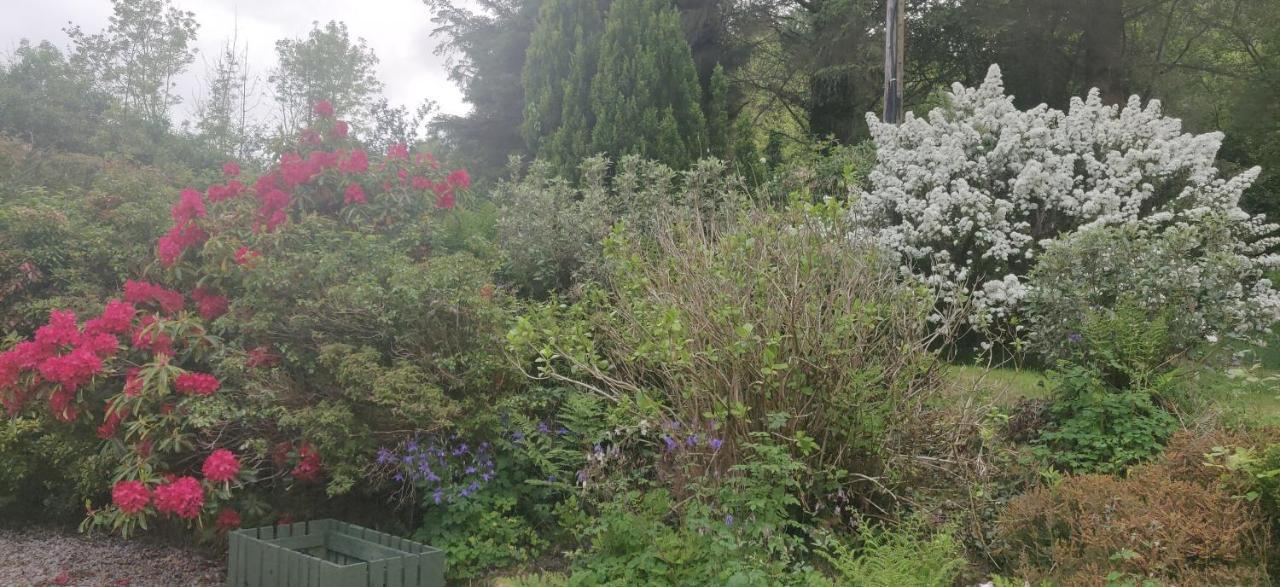 Leenan View Country House *